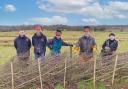 Some of the Lancashire Wildlife Trust's skilled hedgelaying team and volunteers.
