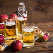 ‘It’s the apple’s ability to transform into the lovely libation that is cider, which gives us that warm, tingly autumnal feeling’