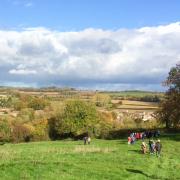 Step out with others on a healthy walk in the Somerset countryside.