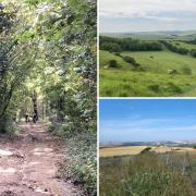 There are a few decent options for spring walks near to Brighton