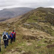 The Buchan Ridge, deep in the heart of the Galloway Hills features in this year's walking festival