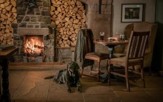 The Lister Arms is cosy and dog-welcoming.
