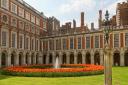 Discover the magic of the Hampton Court Palace Tulip Festival this spring