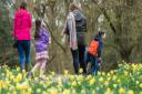 Get ready for a springtime adventure with an Easter egg hunt at Winkworth Arboretum and many other National Trust locations in Surrey