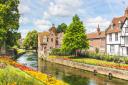 Flowers in full bloom along the Great Stour in Canterbury