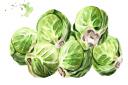 What will you do with your sprouts this Christmas? Image: Daria Ustiugova / Getty