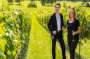 Rob and Tracey Terry own Hampshire's newest vineyard, Quob Park Estate credit Kennerdeigh Scott
