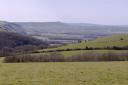 View towards Devil's Dyke from Saddlescombe
