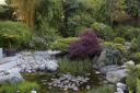 Carefully placed rocks and planting around the pond Photo: Leigh Clapp