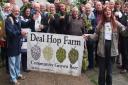 Celebrating the Deal Hop Farm harvest in 2018