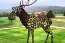 Bellowing stag made using old horseshoes looks majestic in this parkland setting (credit: Charles Elliott)