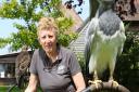 Jemima Parry-Jones of the International Birds of Prey Centre, near Newent