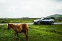 Aston Martin Bristol - The DB11 in Dartmoor