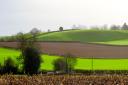 A ‘layered’ landscape; undulating winter fields viewed from the path back to Kentisbeare