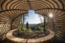 Perspectives offers shelter to walkers and cyclists in the Surrey Hills
