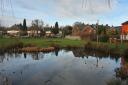 The attractive setting of Caple Pond