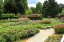 A gardener's dream, the Savill Garden is the perfect place for a bit of inspiration