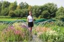 Joanna Whittaker on her flower farm at Wrea Green