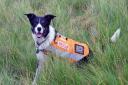 Morag is a member of Penrith Mountain Rescue Team