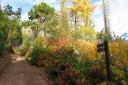 The garden in autumn at Dunster Castle (c) PHPTP National Trust Images/Sarah Allen