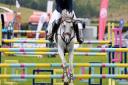 Showjumping action in The Salesbury Arena