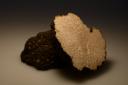 Truffles were ppopular in England in the days of Queen Victoria