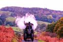 The 1912 Fowler Road Loco  makes its way home for repairs over the winter after doing service at Old Hall Victorian Working Farm Near Ulverston