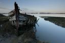 Boat wreckage on Wallasea Island by Andy Hay rspbimages