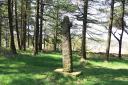 Medieval cross in Shillito Wood