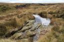 A moorland bog