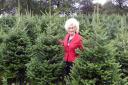 Gloria on one of her three Christmas tree plantations