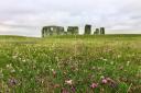 One hundred wildflower meadows are to be created or enhanced at historic sites across England including Stonehenge in celebration of the King Charles III's coronation