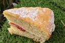 Victoria sponge at OB Cafe, Old Buckenham Country Park. Picture: Rowan Mantell