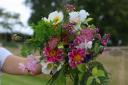 A Firs Farm bouquet. (c) Alison Moore