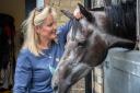 Gay Kelleway was the first woman to win at Royal Ascot, riding Norwich-owned Sprowston Boy. Now she has her own stables and the story is being told in a new play.  PICTURE; CHARLOTTE BOND
