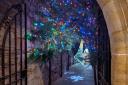 Penshurst Place twinkles at Christmas