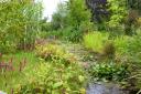 Use excess water to your advantage with water and bog garden area (c) Leigh Clapp