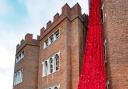 Poppies at Hertford Castle knitted by the Secret Society of Hertford Crafters commemorating the end of World War I