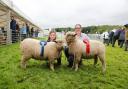 Amelie and Jenny Maguire with their prize sheep