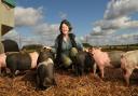 Helen Wade owns and runs an organic pig farm with husband Sam in the Eastleach Downs