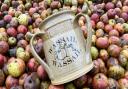 The Hornblotton wassail cup, with apples ready to go to the press