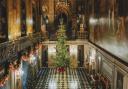 You can buy your Christmas tree from the Chatsworth Estate but it probably don\'t need one as big as the one in the magnificent Painted Hall