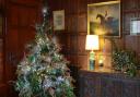 Christmas Tree at Arley Hall