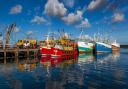 Many of the big colourful fishing boats moor against The Mary Williams Pier