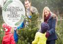 BEST PLACES TO BUY A CHRISTMAS TREE
