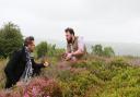 Armand Beasley and Richard Prideaux, Rhug Estate Resident Forager discuss the benefits of heather