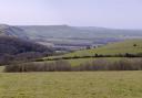 View towards Devil's Dyke from Saddlescombe