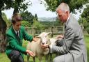 Headmaster Richard Notman with pupil Ben Hooper and the school lambs
