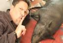 Dom Joly lets Wilbur get some beauty sleep