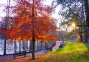 The autumn glow of Christchurch Park in Ipswich